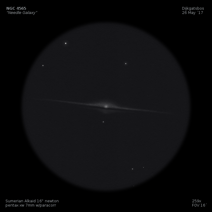 NGC 4565